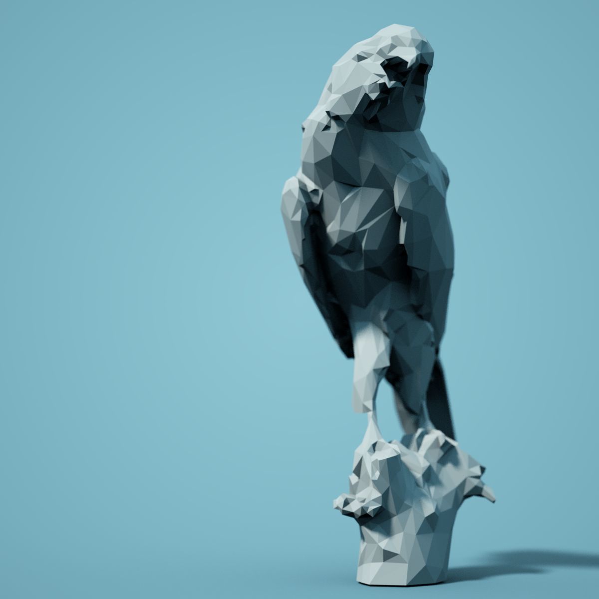 Low Poly bird Collection Low-poly 3D model_45