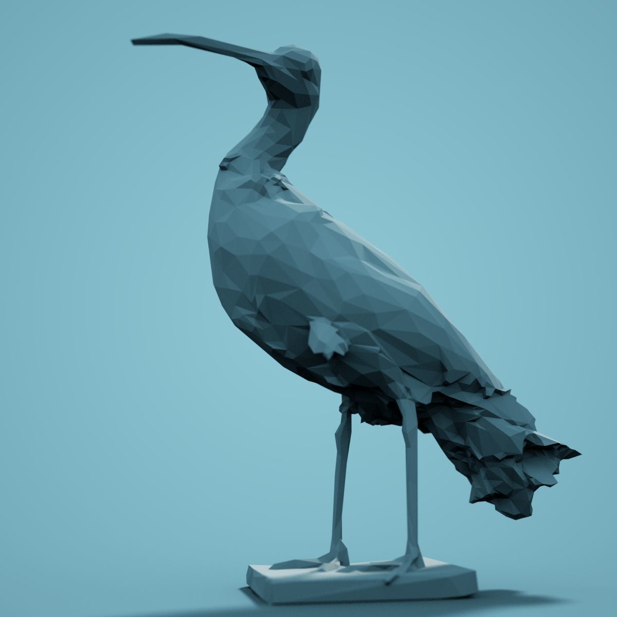 Low Poly bird Collection Low-poly 3D model_8
