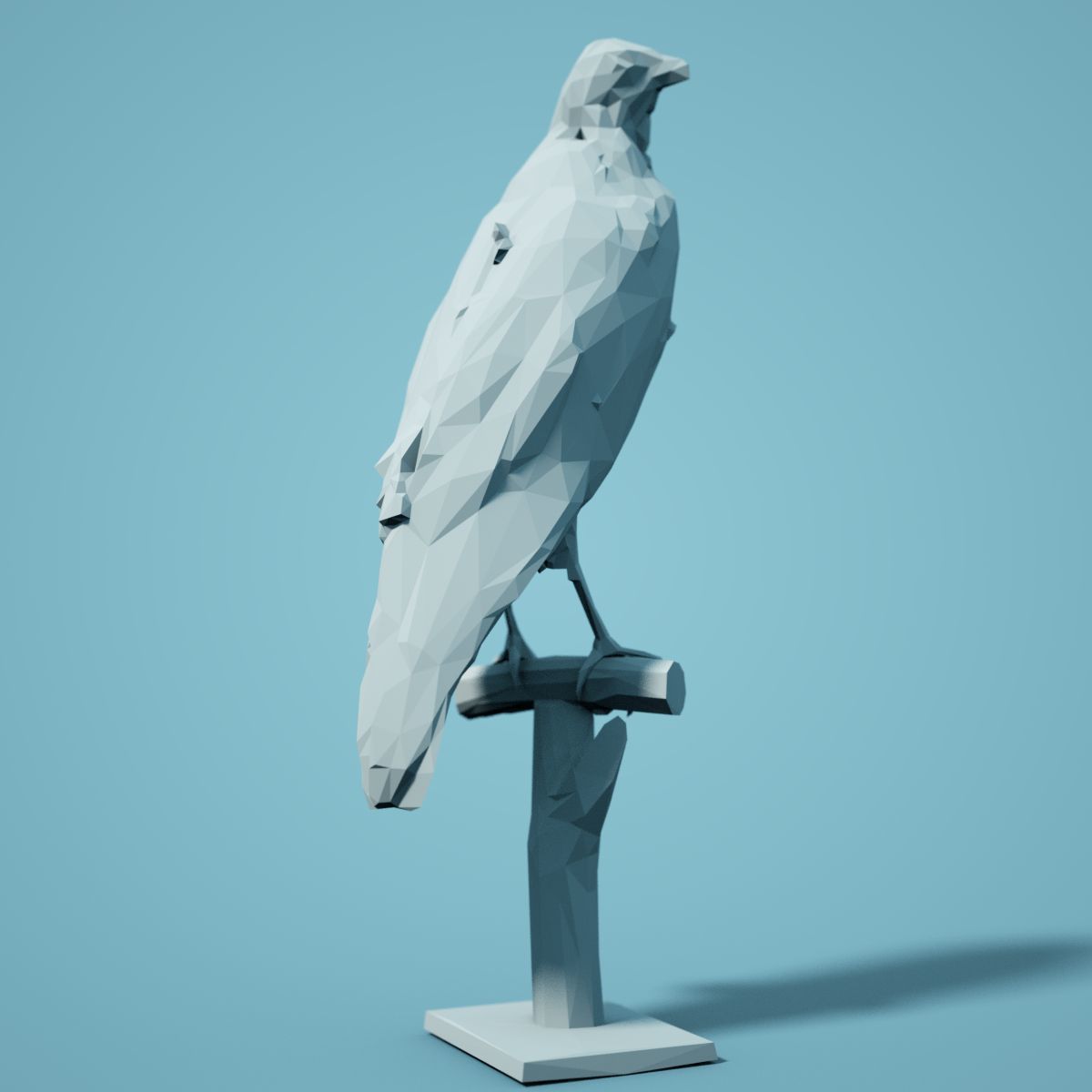 Low Poly bird Collection Low-poly 3D model_105