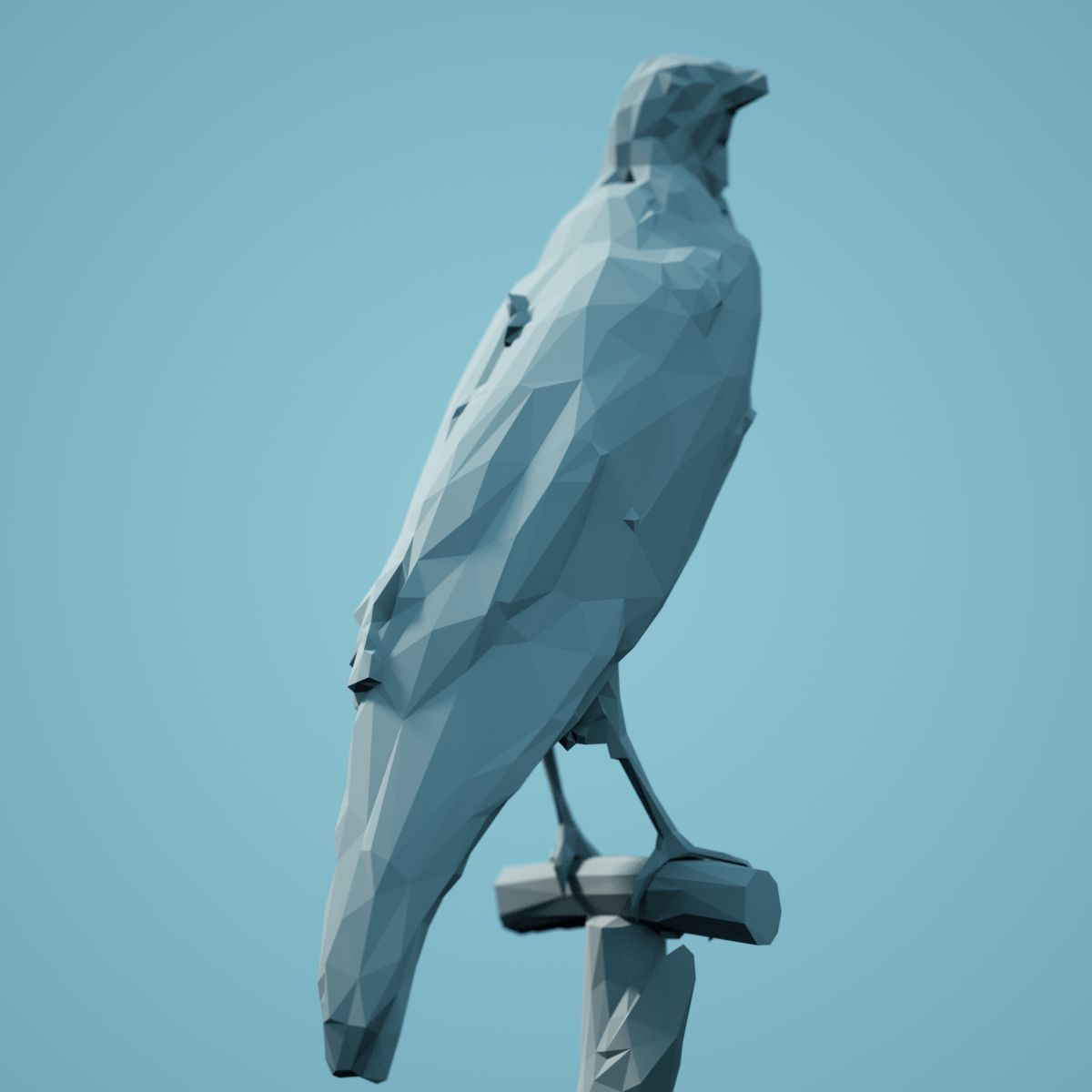 Low Poly bird Collection Low-poly 3D model_83