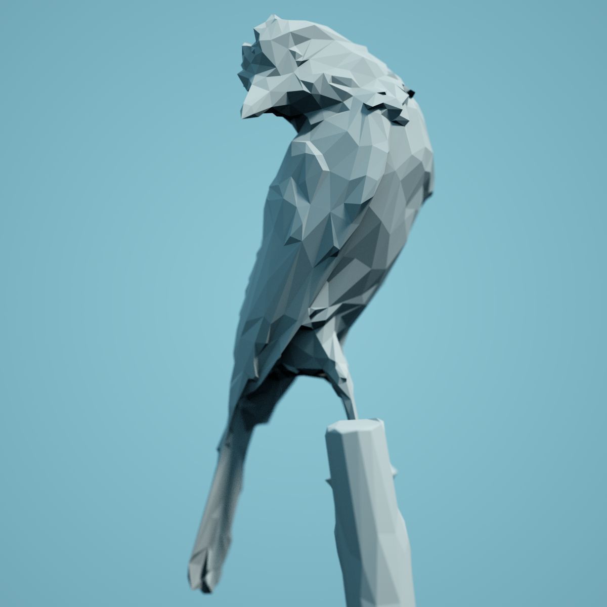 Low Poly bird Collection Low-poly 3D model_96