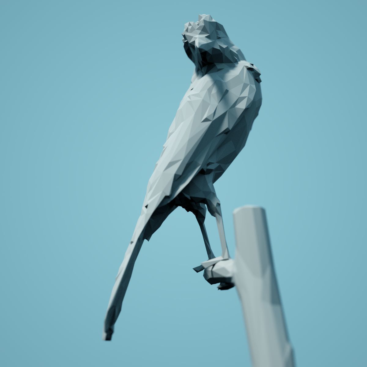 Low Poly bird Collection Low-poly 3D model_84