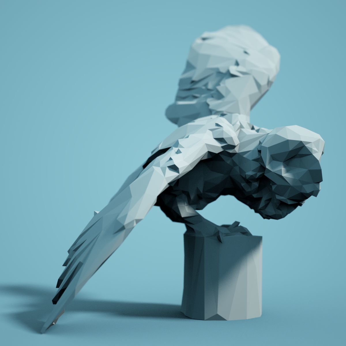 Low Poly bird Collection Low-poly 3D model_71