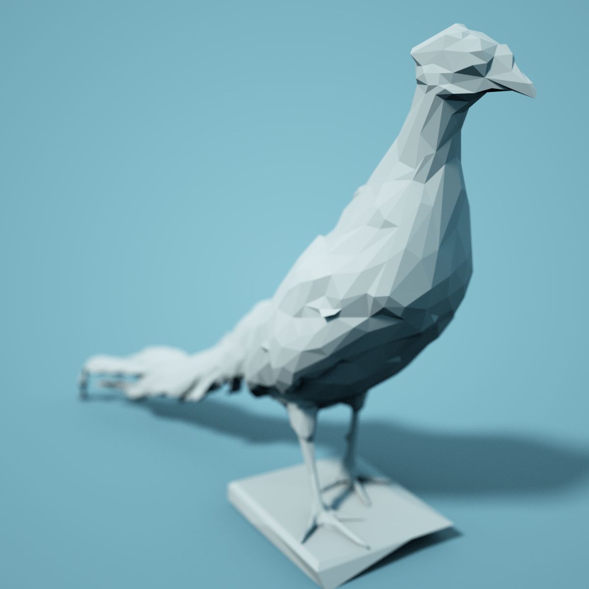 Low Poly bird Collection Low-poly 3D model_82