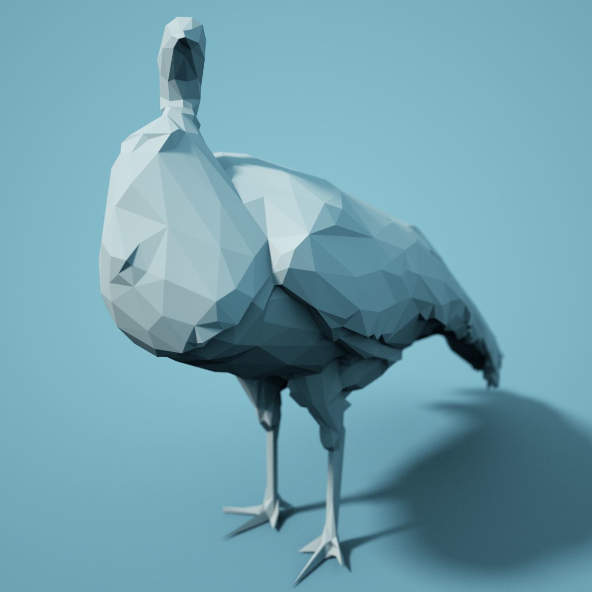 Low Poly bird Collection Low-poly 3D model_7