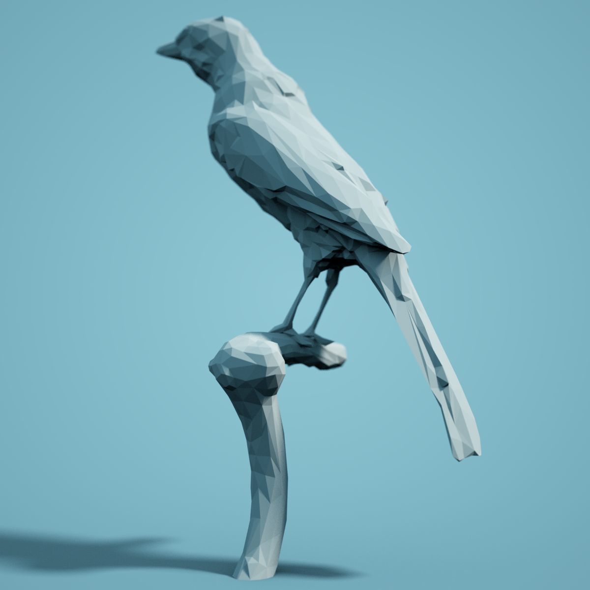 Low Poly bird Collection Low-poly 3D model_76