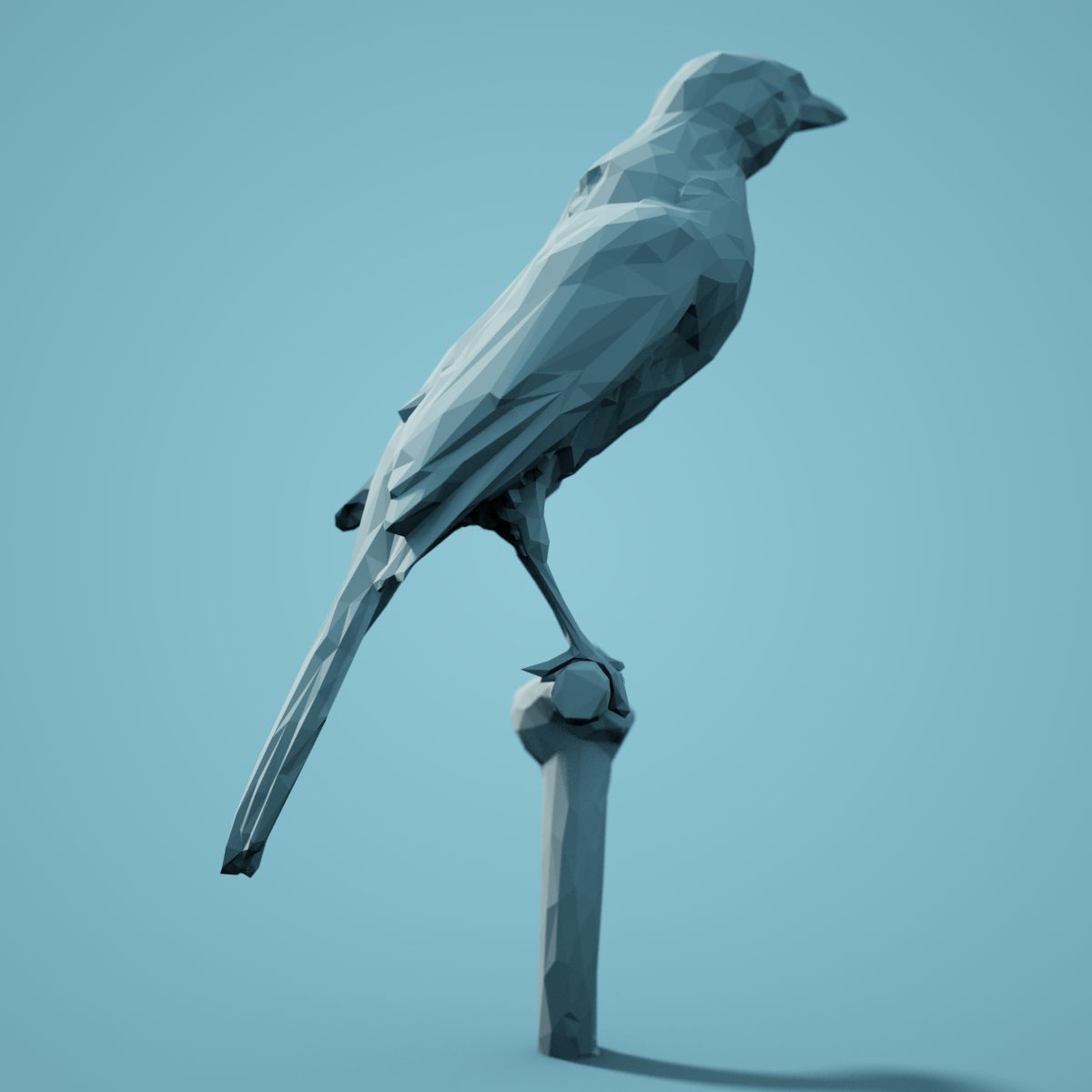 Low Poly bird Collection Low-poly 3D model_57