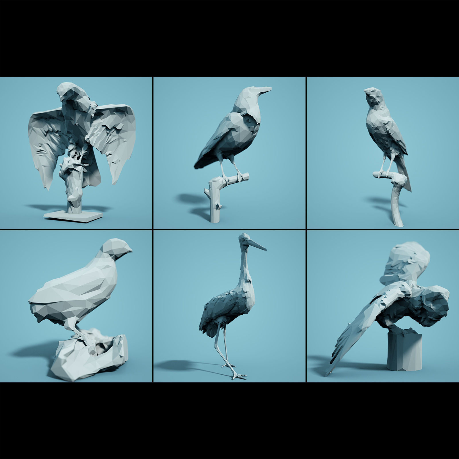 Low Poly bird Collection Low-poly 3D model_1