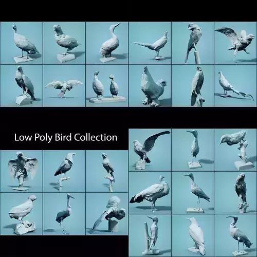 Low Poly bird Collection Low-poly 3D model