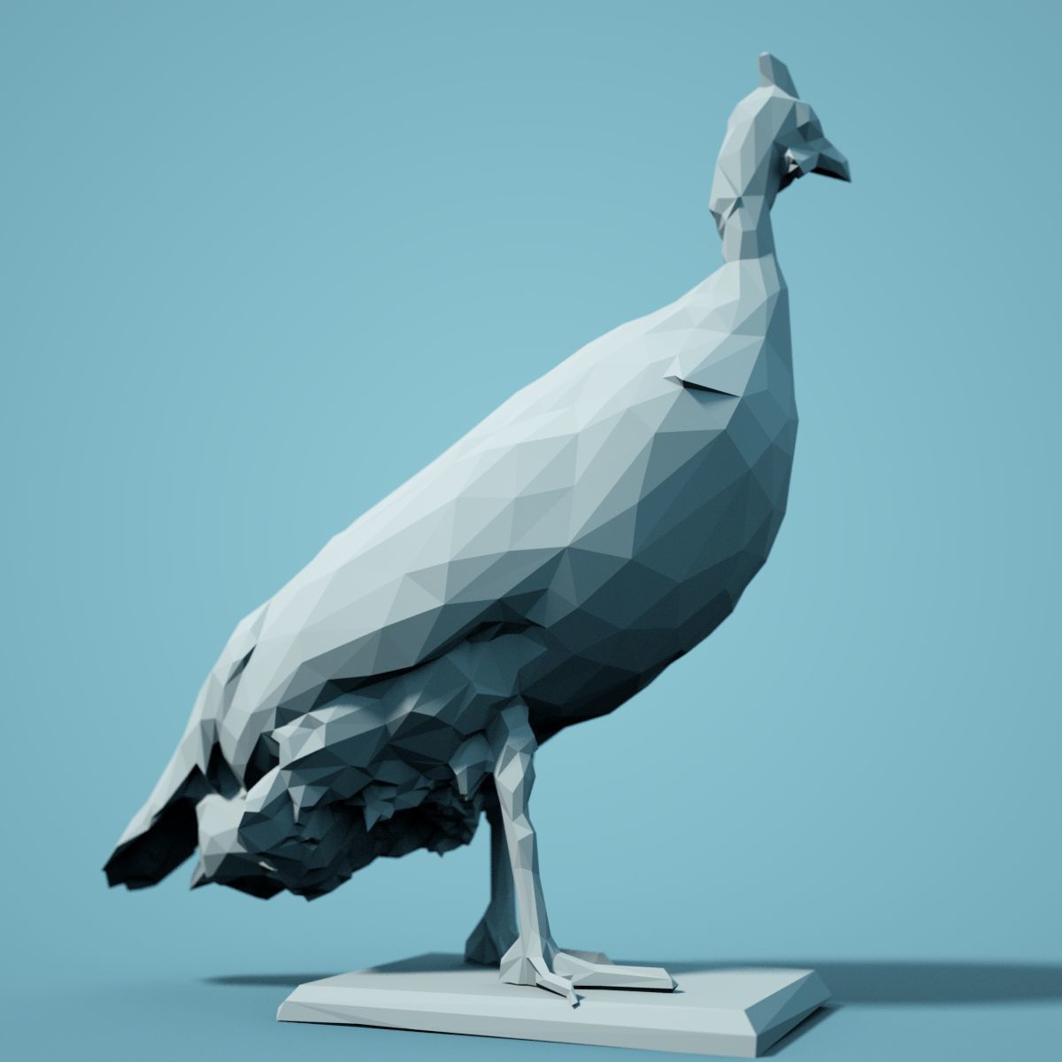 Low Poly bird Collection Low-poly 3D model_117