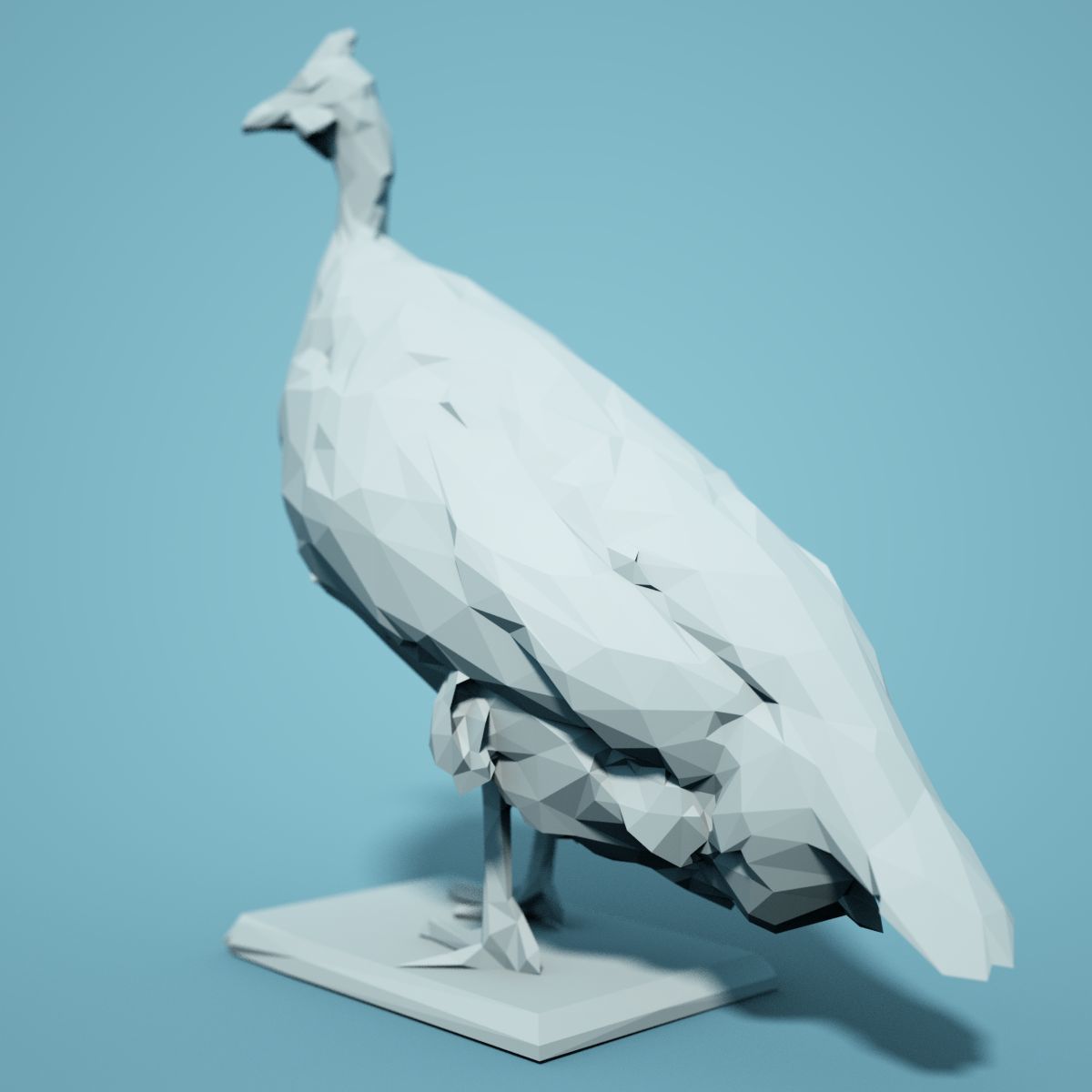 Low Poly bird Collection Low-poly 3D model_126