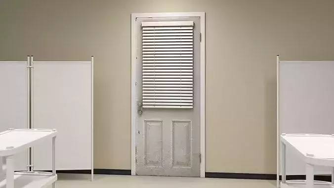 Old Front Door with Blinds 3D model 2