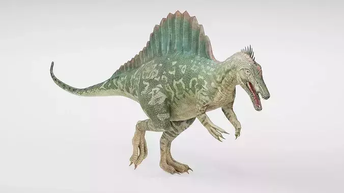 Realistic Spinosaurus Dinosaur