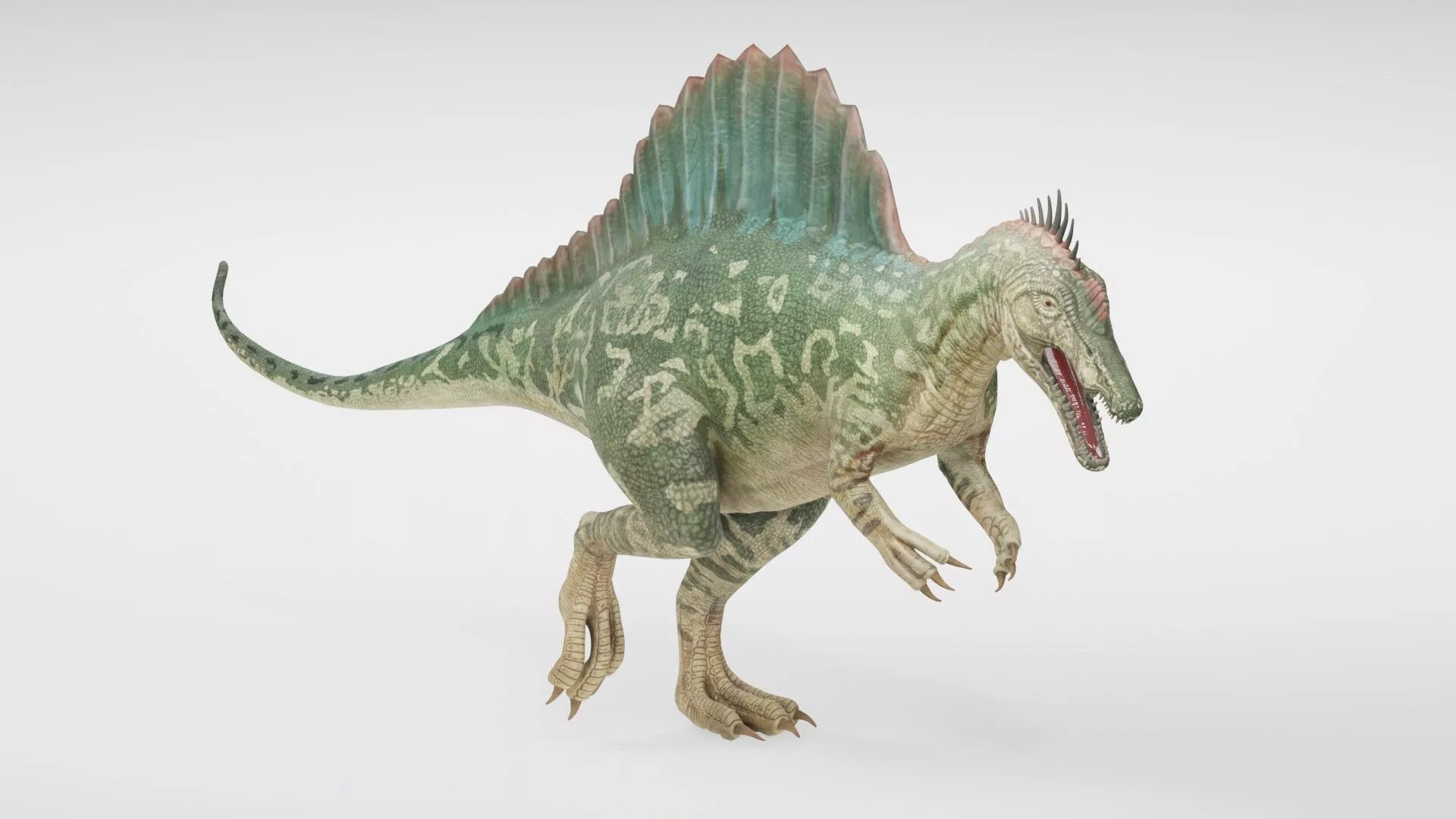 Realistic Spinosaurus Dinosaur Low-poly 3D model