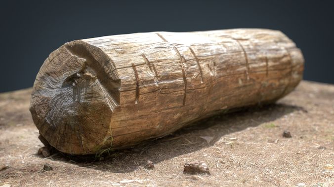 Dead trunk 5 Low-poly 3D model