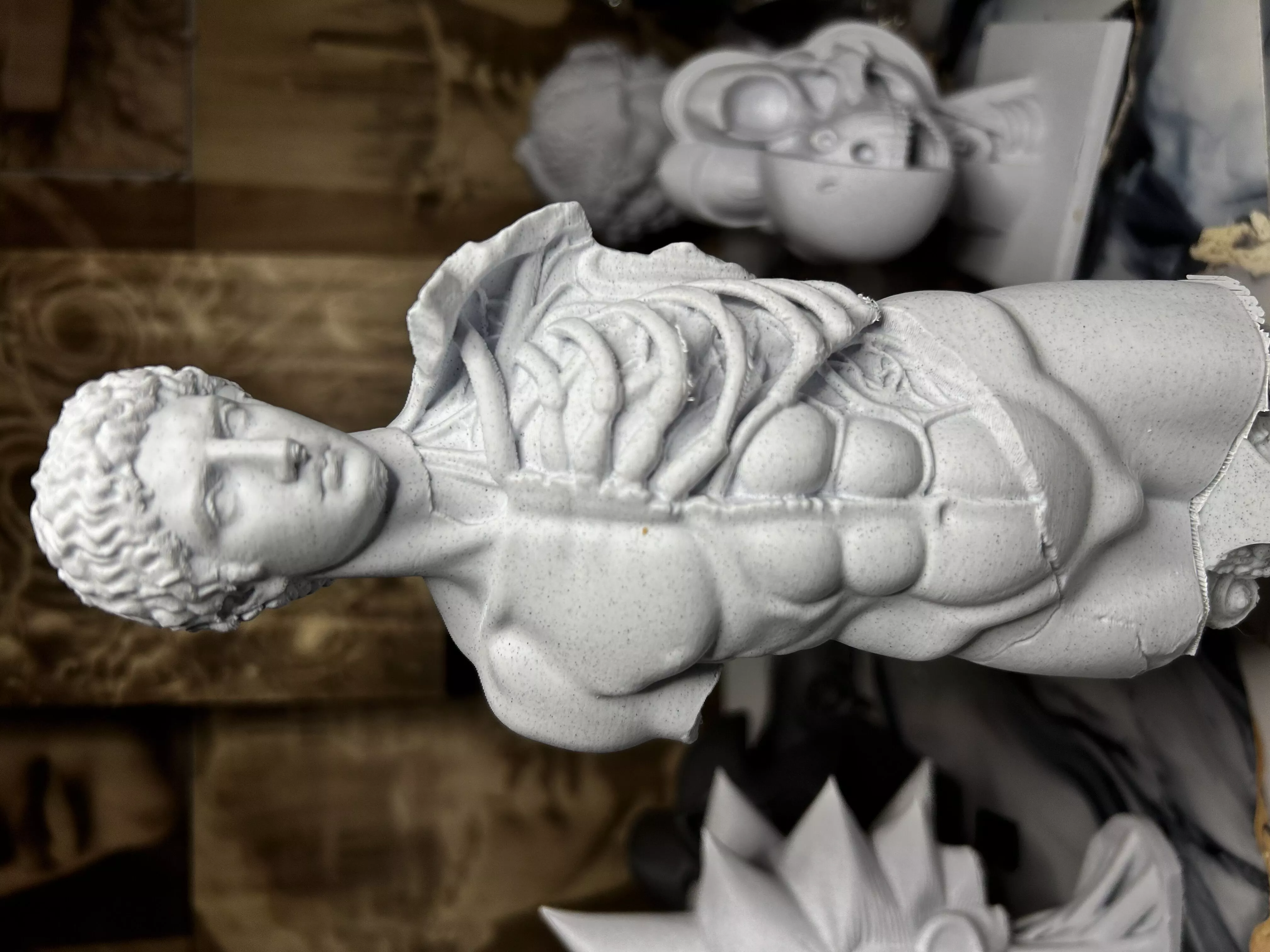 Roman Anatomy Revealed 3D print model