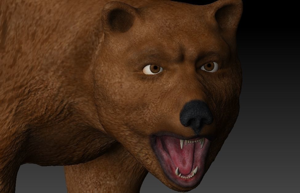 Grizzly Bear Low-poly 3D model_5