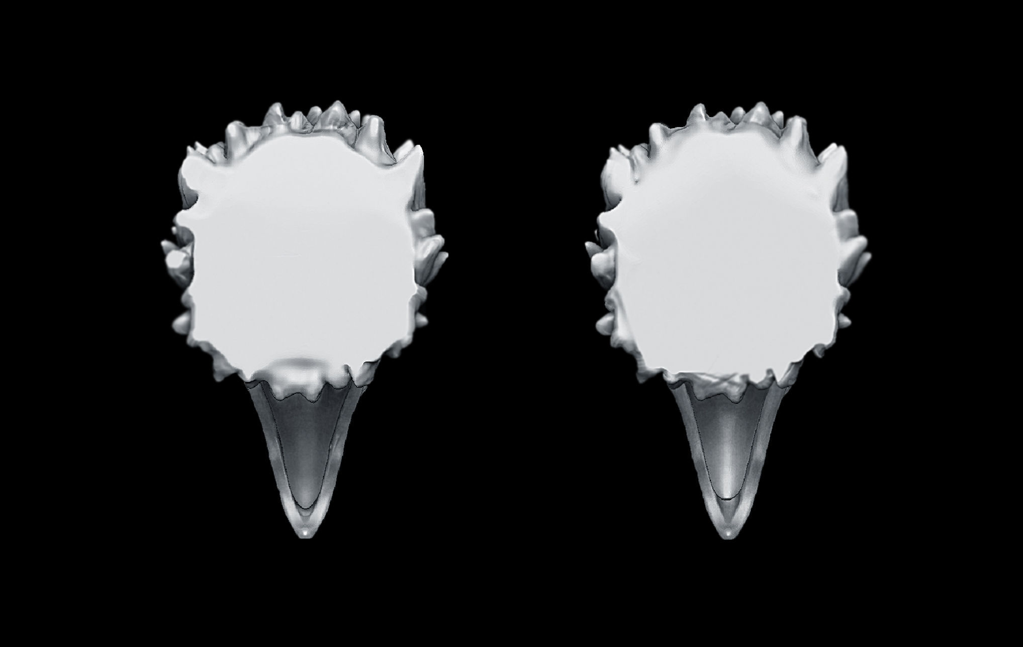 Eagle heads 3D print model_4