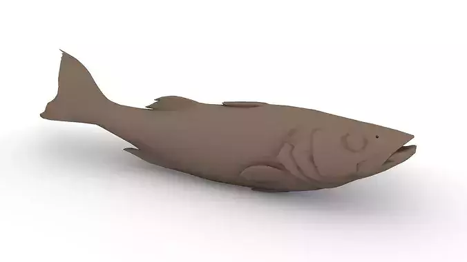 Atlantic sea bass Low-poly 3D model 6