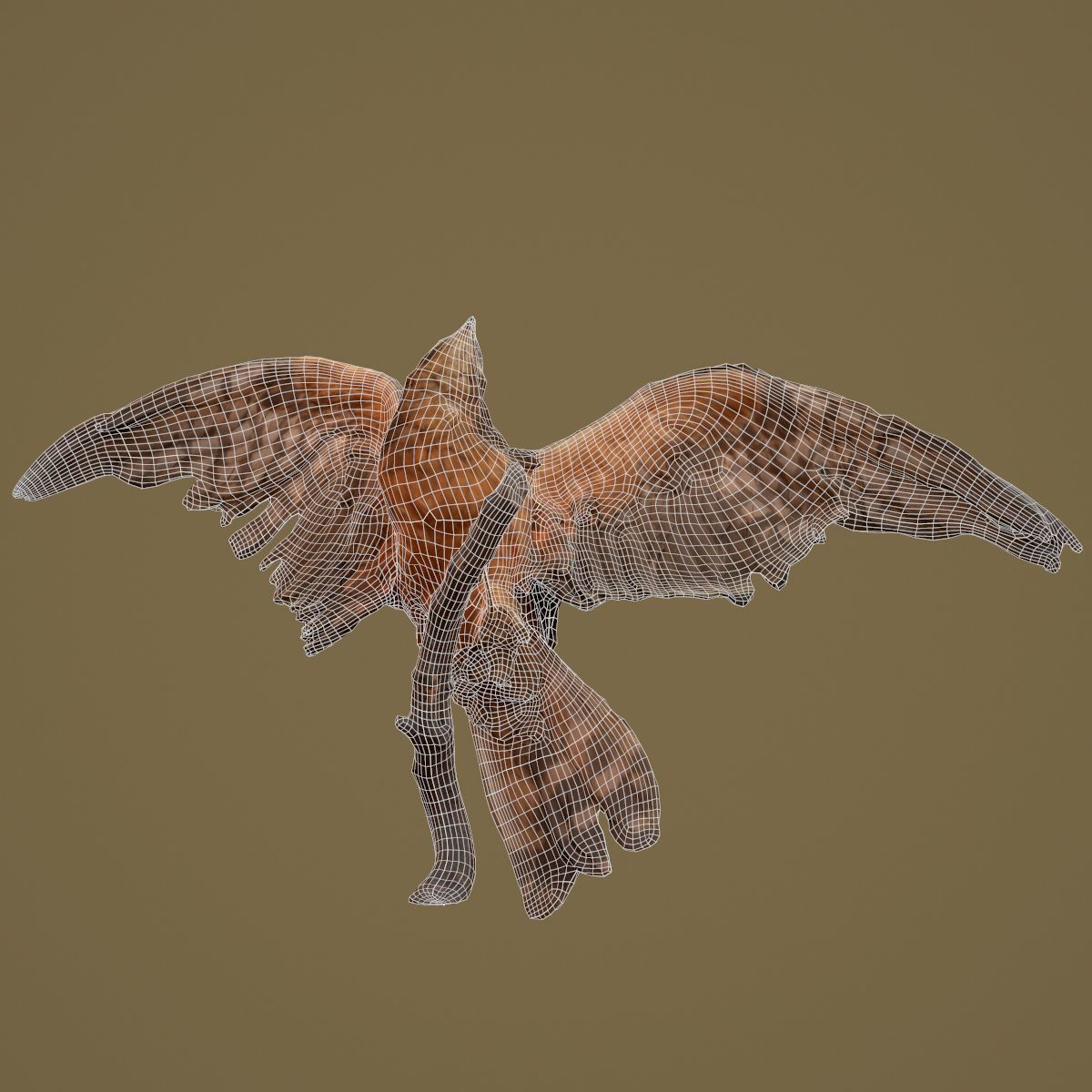 Bird Photorealistic Posed Low-poly 3D model_7