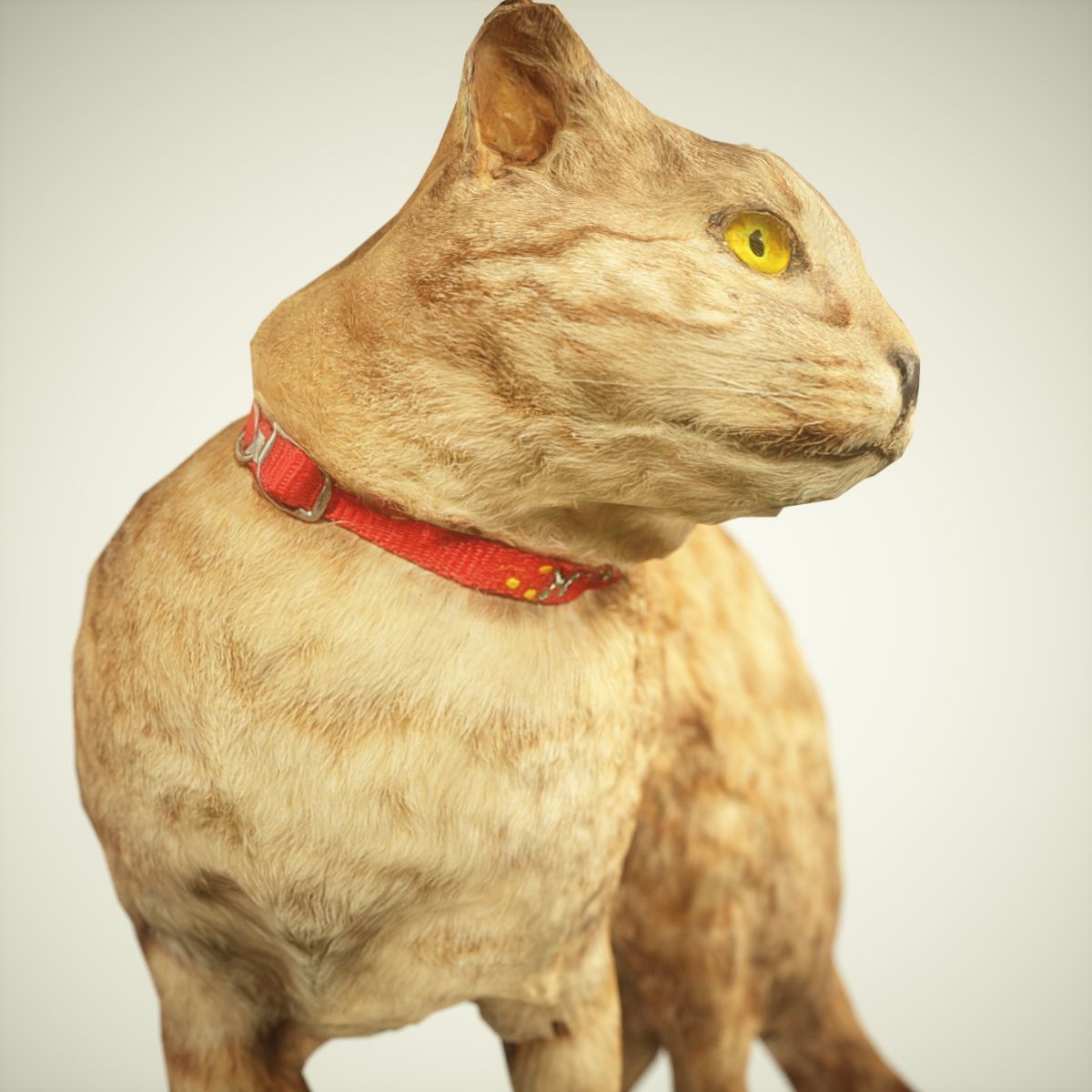 Cat Photorealistic Posed Low-poly 3D model_3