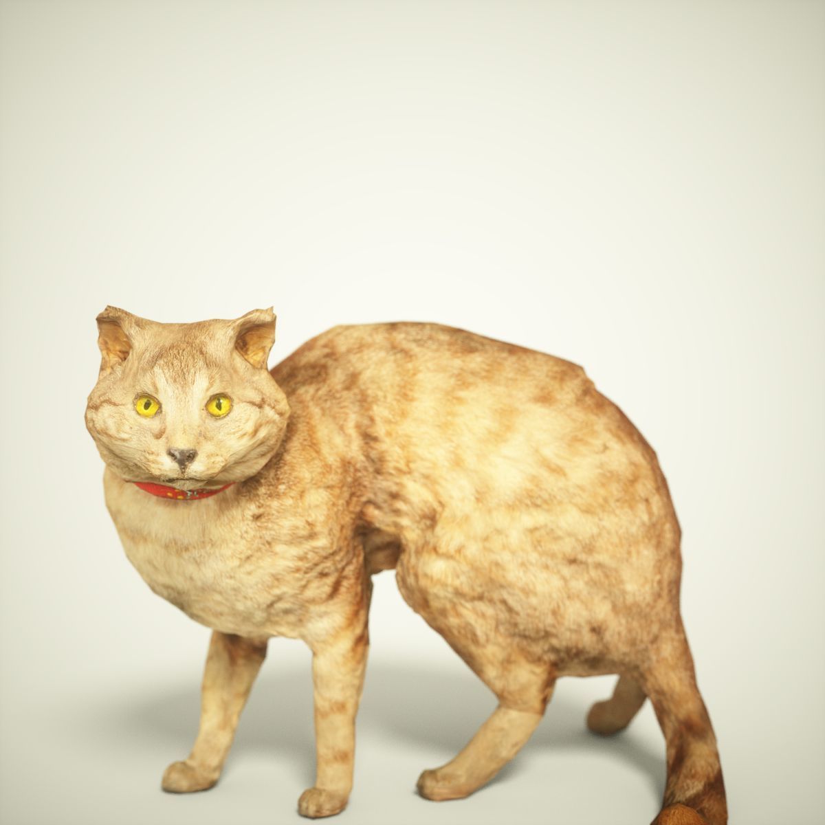 Cat Photorealistic Posed Low-poly 3D model_1