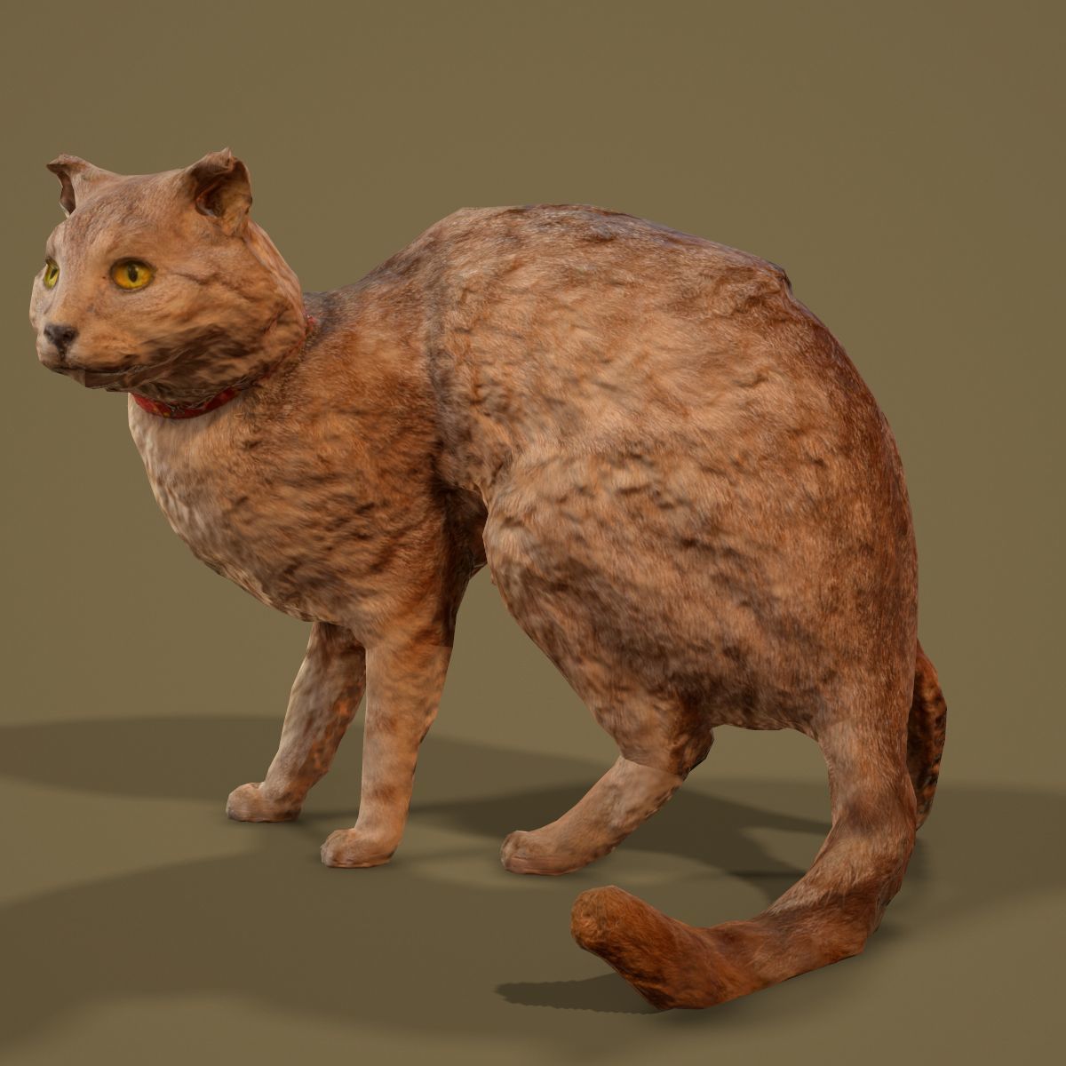Cat Photorealistic Posed Low-poly 3D model_5