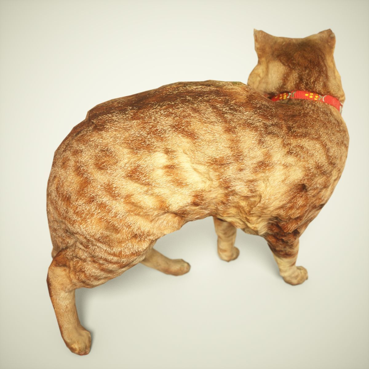 Cat Photorealistic Posed Low-poly 3D model_2