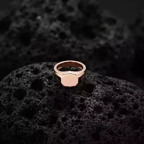 Jewelry Signet Ring v14 S Size