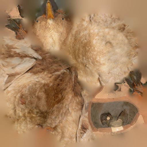 Duck Photorealistic Posed Low-poly 3D model_7