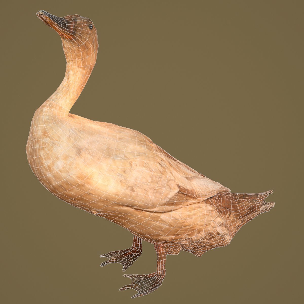 Duck Photorealistic Posed Low-poly 3D model_6