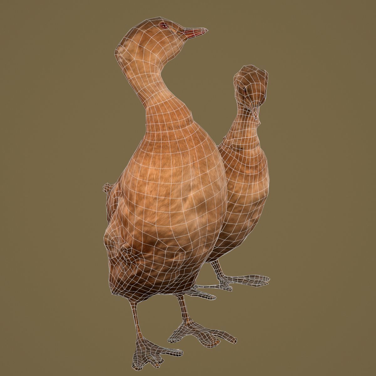 Ducklings Photorealistic Posed Low-poly 3D model_6