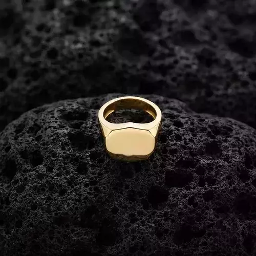 Jewelry Signet Ring v14 L Size
