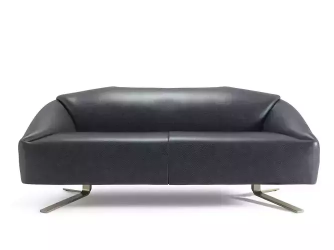 DS-373 Sofas