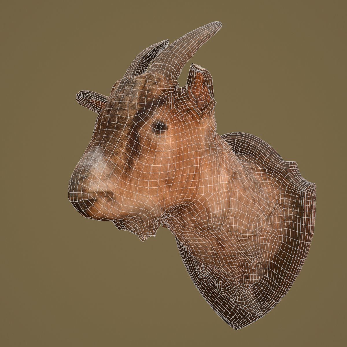 Goat Head Photorealistic Low-poly 3D model_6