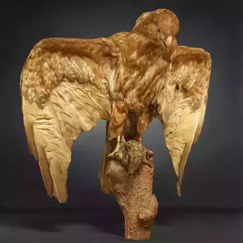 Bird Photorealistic Posed