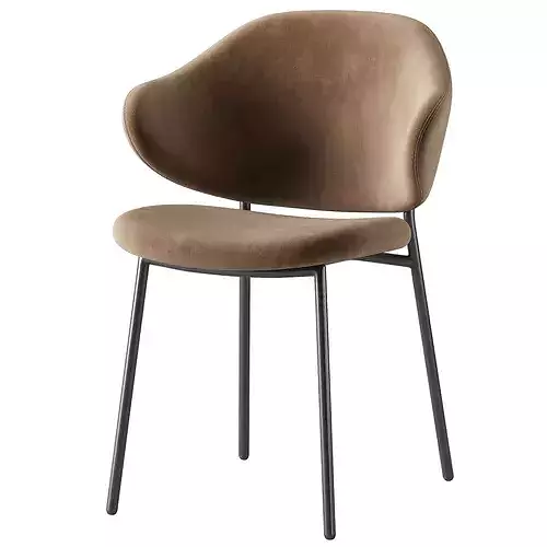 Bassi Chair 3D model 2