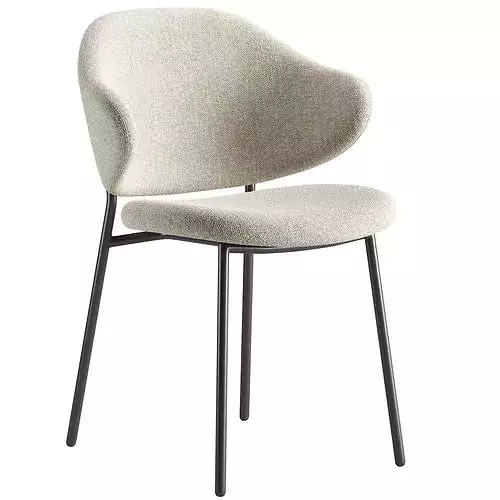 Bassi Chair 3D model 3