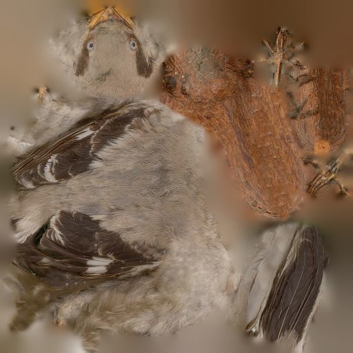 Bird Photorealistic Posed Low-poly 3D model_7