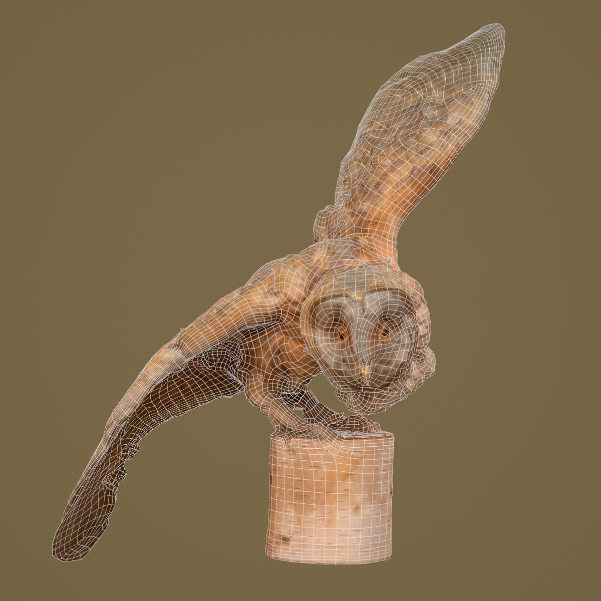 Owl Photorealistic Posed Low-poly 3D model_6