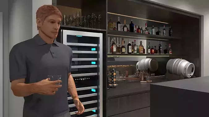 Party in Private Home Bar 3D model 4