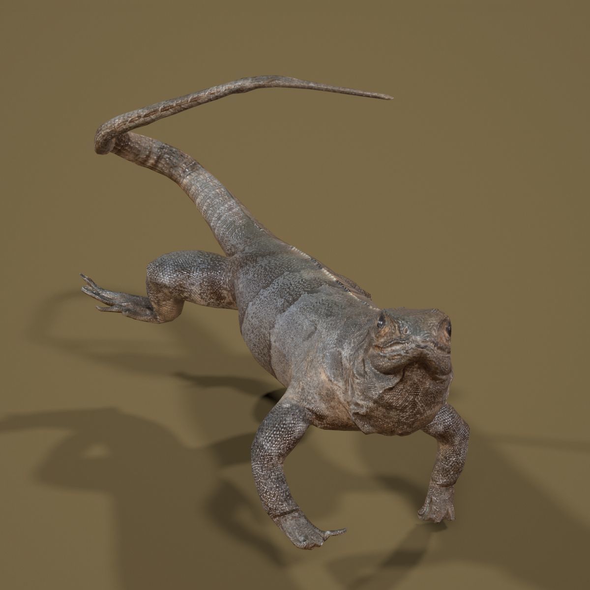 Salamander Lizard Photorealistic Posed Low-poly 3D model_5