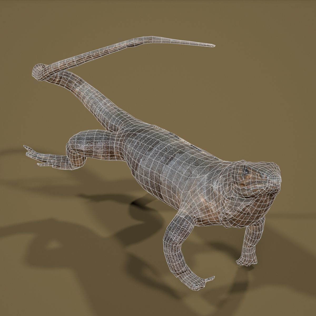 Salamander Lizard Photorealistic Posed Low-poly 3D model_6