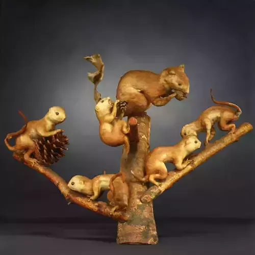 Squirrels Photorealistic Posed