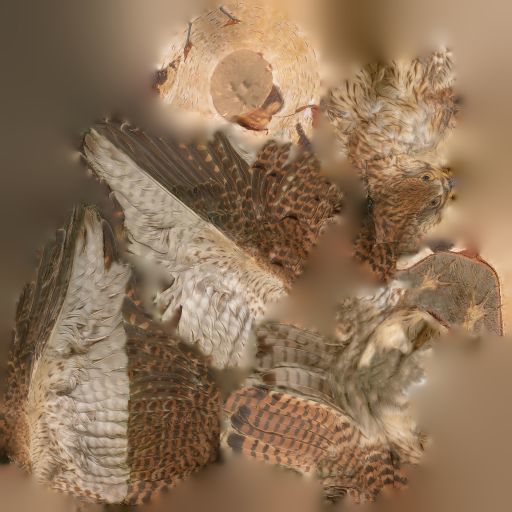 Bird Photorealistic Posed Low-poly 3D model_7