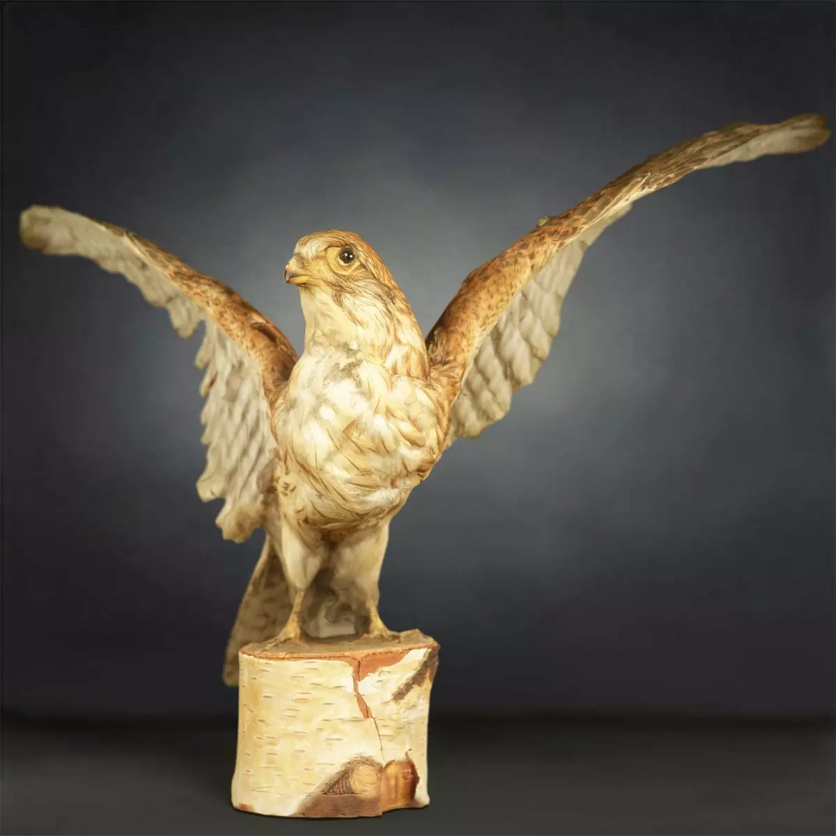 Bird Photorealistic Posed Low-poly 3D model_0