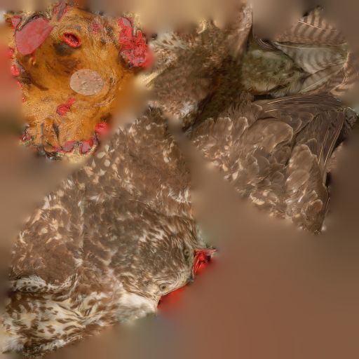 Bird Photorealistic Posed Low-poly 3D model_7