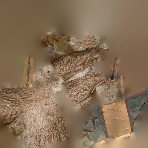 Bird Photorealistic Posed Low-poly 3D model_7