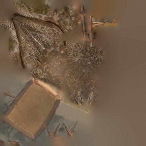 Bird Photorealistic Posed Low-poly 3D model_7