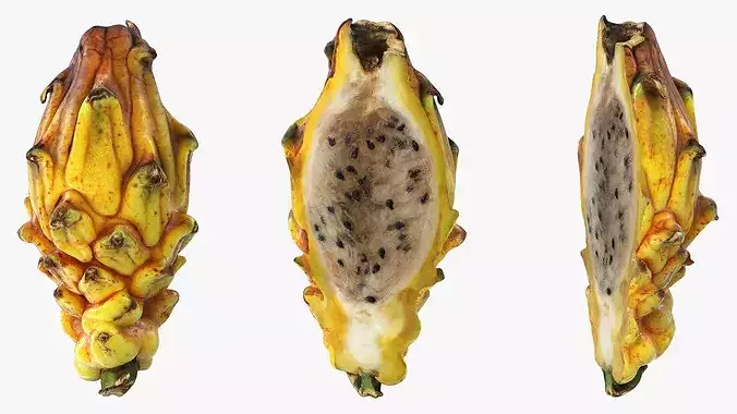 Yellow Dragon Fruit Half 3D model 5